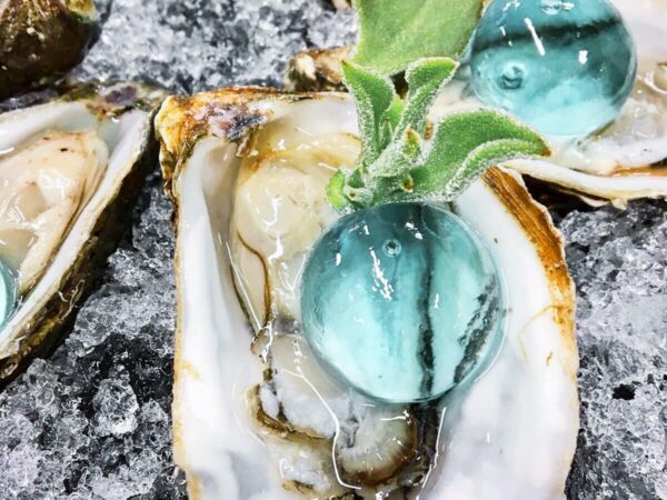 Ostra abierta sobre hielo picado con una Pearl de Gin Tonic y una hoja de salvia
